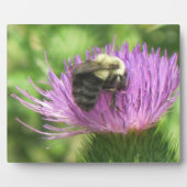 Bee en Thistle Plaque Fotoplaat (Voorkant)