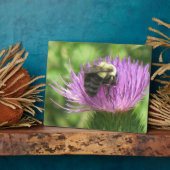 Bee en Thistle Plaque Fotoplaat (Zijkant)
