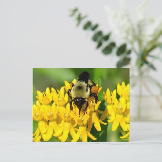 Bee Feasting on Butterfly Weed Wildflowers Briefkaart (Staand voorkant)