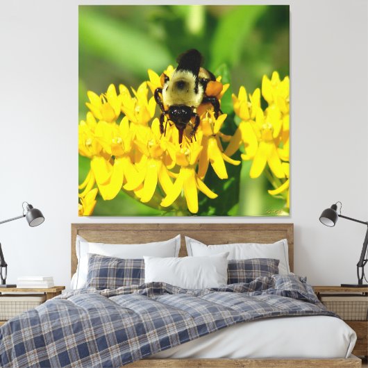 Bee Feasting on Butterfly Weed Wildflowers Canvas Afdruk (Insitu (Slaapkamer))