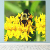 Bee Feasting on Butterfly Weed Wildflowers Canvas Afdruk (Insitu (Houten vloer))
