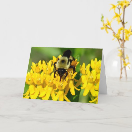 Bee Feasting on Butterfly Weed Wildflowers Kaart (Gele Bloem)