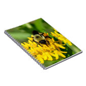 Bee Feasting on Butterfly Weed Wildflowers Notitieboek (Rechterzijde)