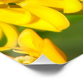 Bee Feasting on Butterfly Weed Wildflowers Perfect Poster (Hoek)