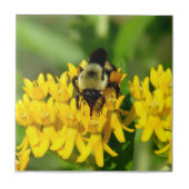 Bee Feasting on Butterfly Weed Wildflowers Tegeltje (Voorkant)