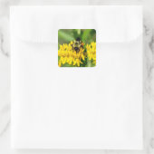Bee Feasting on Butterfly Weed Wildflowers Vierkante Sticker (Tas)
