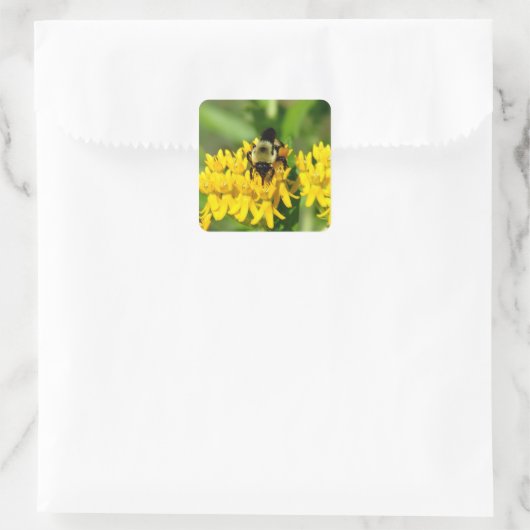 Bee Feasting on Butterfly Weed Wildflowers Vierkante Sticker (Tas)