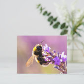 Bee Flower Beauful Natuur Scenery Briefkaart (Staand voorkant)