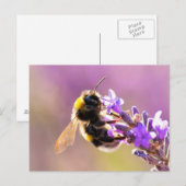 Bee Flower Beauful Natuur Scenery Briefkaart (Voorkant / Achterkant)