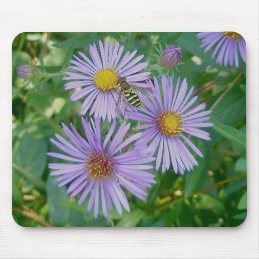 Bee Fly & Paarse Asters Mousepad Muismat (Voorkant)