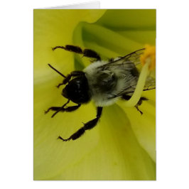 BEE GEWELDIGE - CHRISTELIJKE GROETING