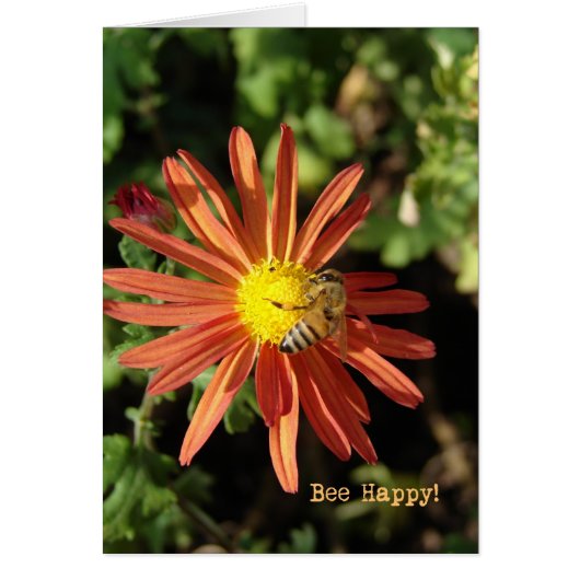 Bee Happy (Voorkant)