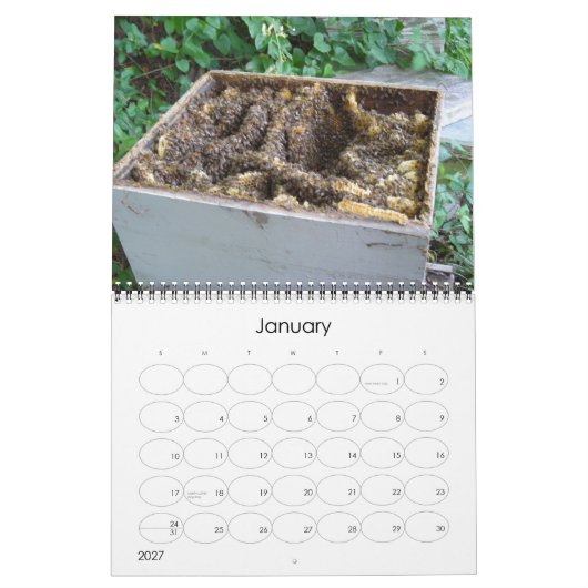 Bee Happy Calendar Kalender (Jan 2027)