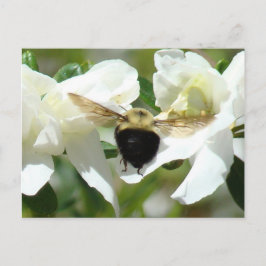 Bee heeft het druk briefkaart