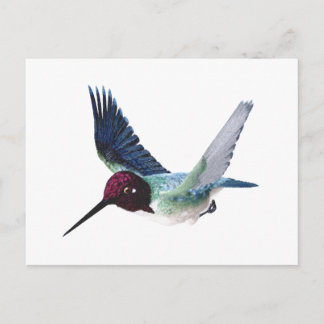 Bee Hummingbird Male Briefkaart