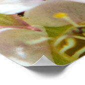 Bee in de buurt 28x24 archiefafdrukken poster (Hoek)