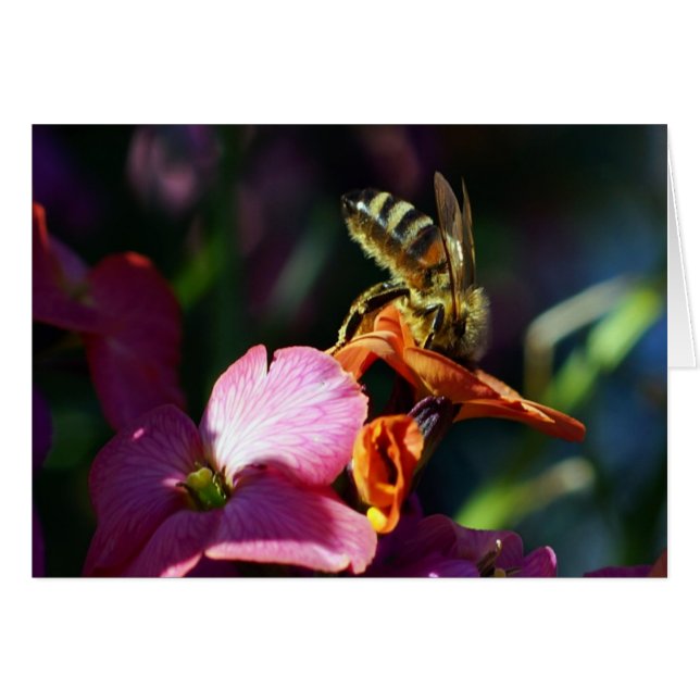 Bee-ing Busy! (Voorkant Horizontaal)