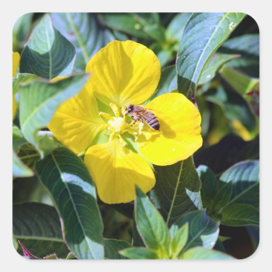 Bee-ing Productive Vierkante Sticker (Voorkant)