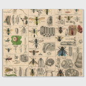 Bee Insect Bug Wasp Natural History Bees Cadeaupapier (Vlak)