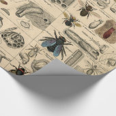 Bee Insect Bug Wasp Natural History Bees Cadeaupapier (Hoek)