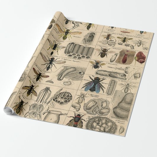 Bee Insect Bug Wasp Natural History Bees Cadeaupapier (Uitgerold)