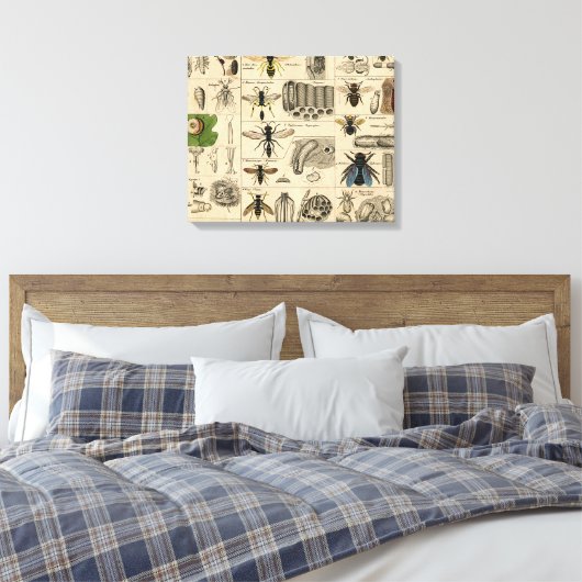 Bee Insect Bug Wasp Natural History Bees Canvas Afdruk (Insitu (Slaapkamer))