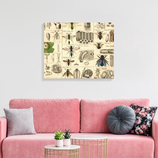 Bee Insect Bug Wasp Natural History Bees Canvas Afdruk (Insitu (Woonkamer))