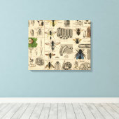 Bee Insect Bug Wasp Natural History Bees Canvas Afdruk (Insitu (Houten vloer))