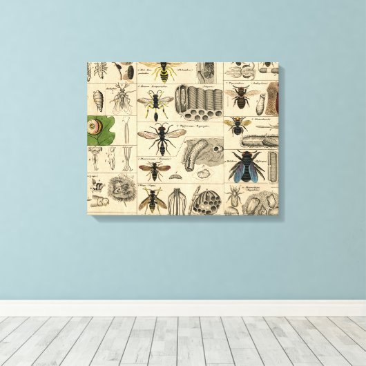Bee Insect Bug Wasp Natural History Bees Canvas Afdruk (Insitu (Houten vloer))