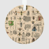 Bee Insect Bug Wasp Natural History Bees Ornament (achterkant)