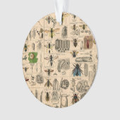 Bee Insect Bug Wasp Natural History Bees Ornament (voorkant)