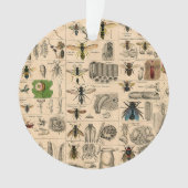 Bee Insect Bug Wasp Natural History Bees Ornament (voorkant)