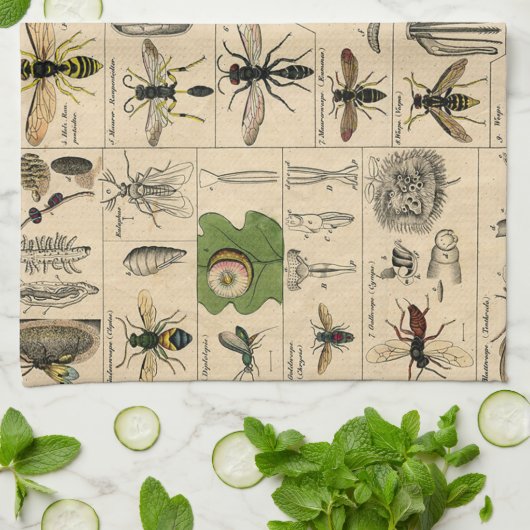 Bee Insect Bug Wasp Natural History Bees Theedoek (Gevouwen)