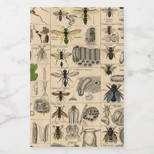 Bee Insect Bug Wasp Natural History Bees Voedselcontainer Etiket (Enkel label)