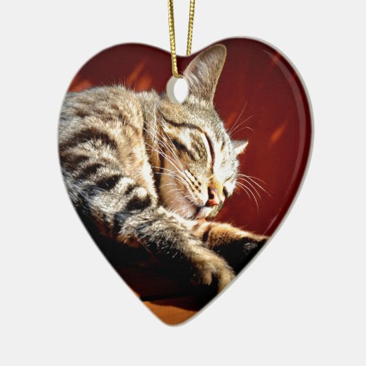 Bee kat tigré keramisch ornament (Links)