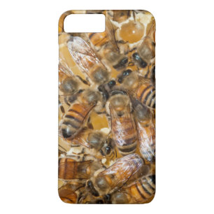 Bee keeping at Arlo's Honey Farm Case-Mate iPhone Case