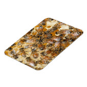 Bee keeping at Arlo's Honey Farm Magneet (Linkerzijde)