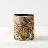 Bee keeping at Arlo's Honey Farm Mok (Midden)