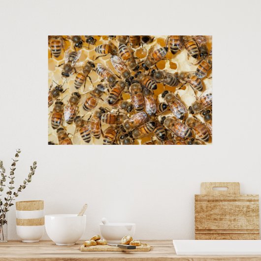 Bee keeping at Arlo's Honey Farm Poster (Keuken)