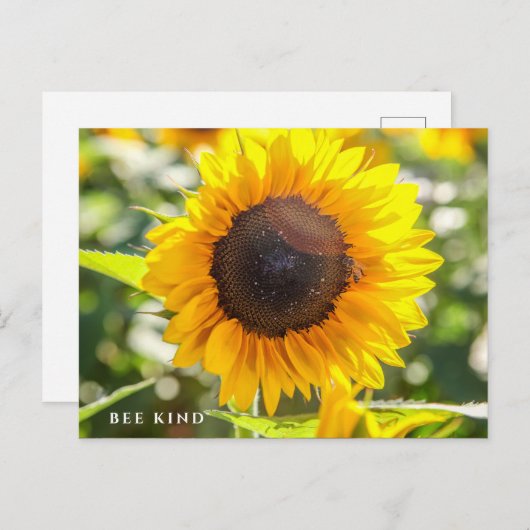 Bee Kind | zonnebloem Briefkaart (Voorkant / Achterkant)