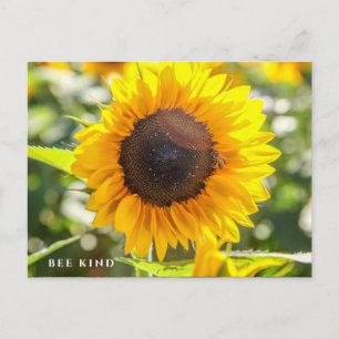 Bee Kind   Zonnebloem Briefkaart