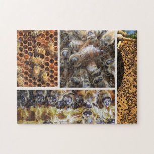 Bee Life Puzzle Legpuzzel