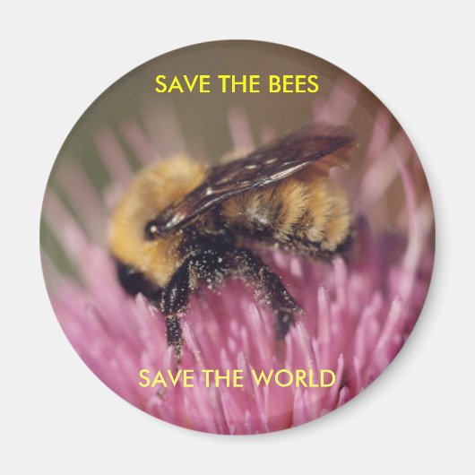 Bee Magnet (Voorkant)