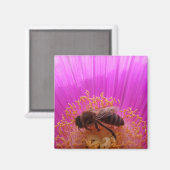 Bee Magnet (Voorkant / Achterkant)