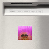 Bee Magnet (Insitu (Vaatwasser))