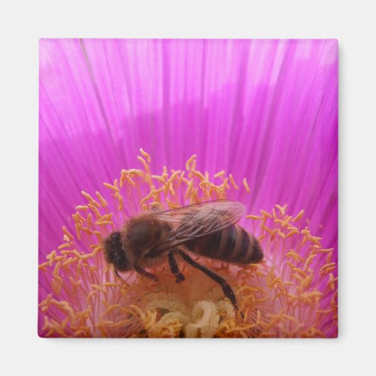 Bee Magnet (Voorkant)