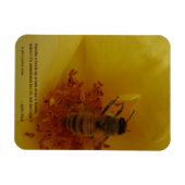 Bee Magnet Magneet (Horizontaal)