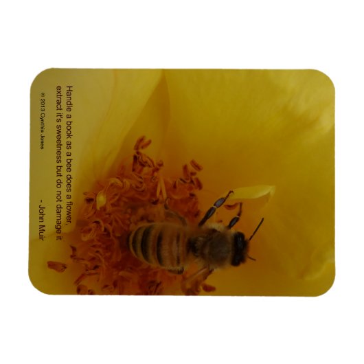 Bee Magnet Magneet (Horizontaal)