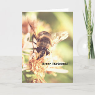 Bee Merry Christmas  Look Foto Feestdagen Kaart