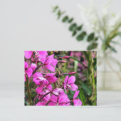 Bee Nice Briefkaart (Staand voorkant)